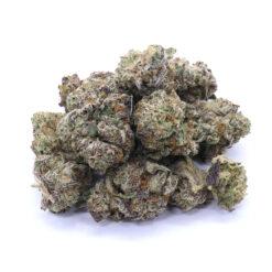 Purple Kush Strain Flower - Indica