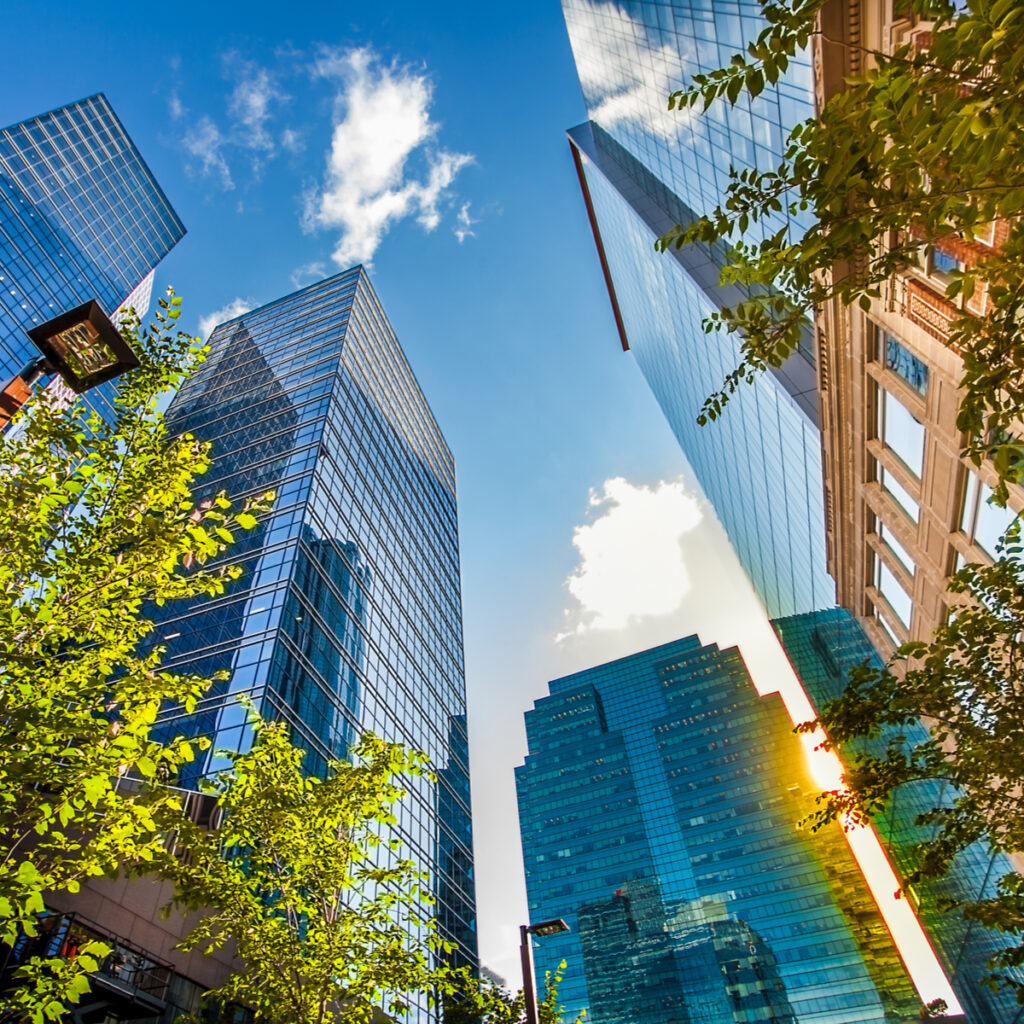 Edmonton City Scape
