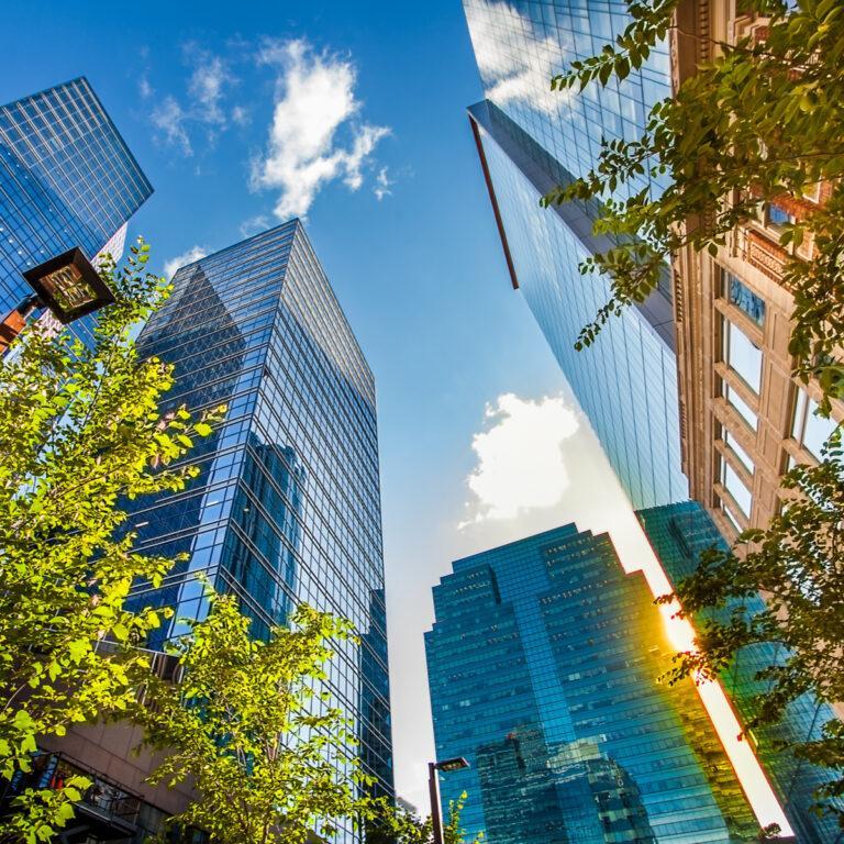 Edmonton City Scape