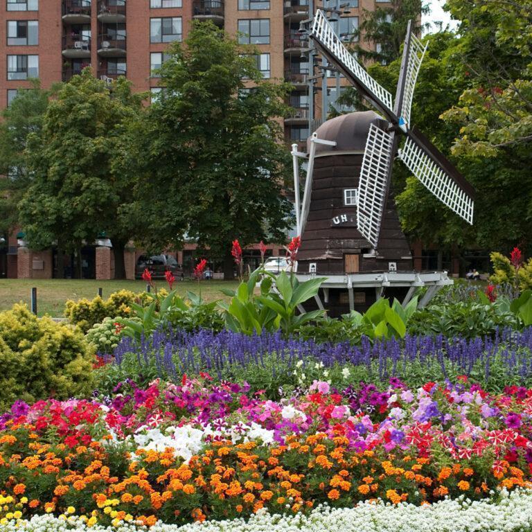 Brampton City Scape