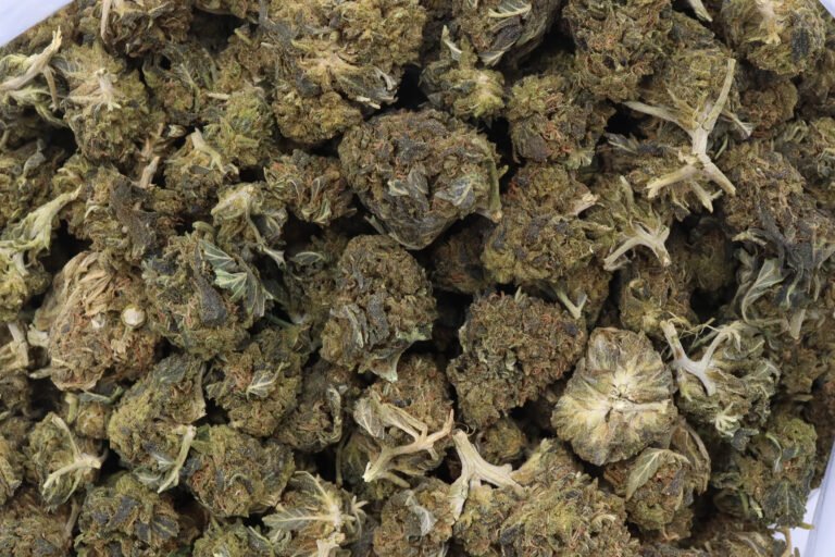 Black Jack