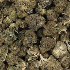 Black Jack Strain Flower - Indica Dominant Hybrid Black Jack Strain Flower - Indica Dominant Hybrid