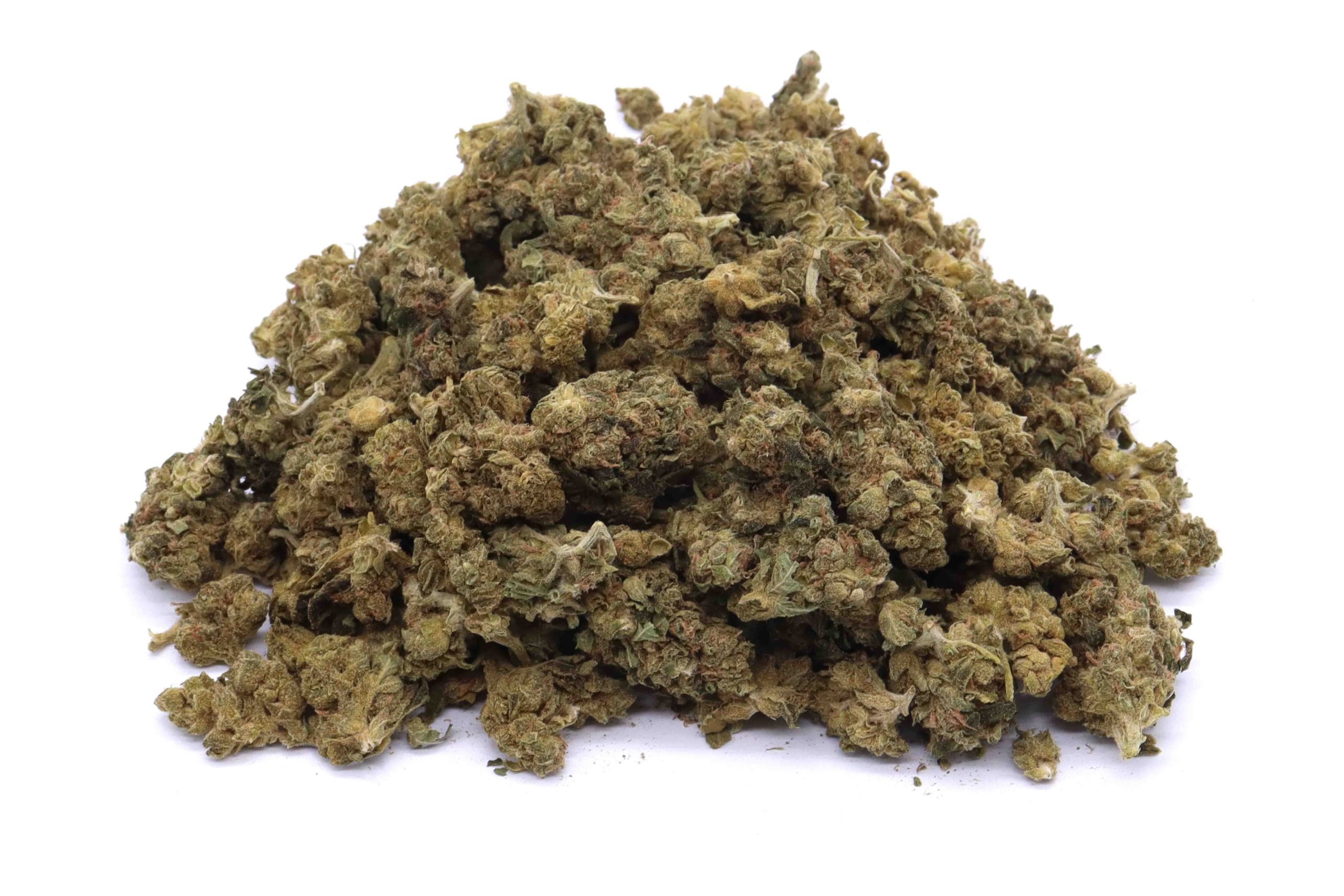 Black Jack Strain - Indica Dominant Hybrid Small Buds