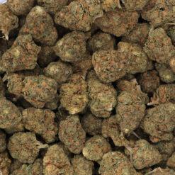 Black Jack Strain Flower - Indica Dominant Hybrid