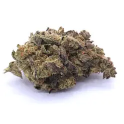 Crescendo Strain Flower - Sativa Dominant Hybrid