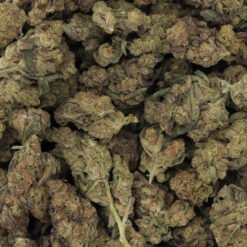 Crescendo Strain Flower - Sativa Dominant Hybrid