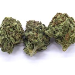 Ghost OG Strain Flower - Indica Dominant Hybrid Ghost OG Strain Flower - Indica Dominant Hybrid