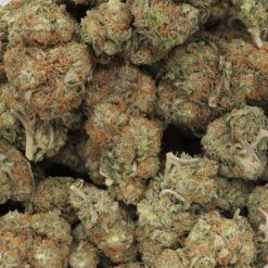 Orange Creamsicle Strain Flower - Sativa Dominant Hybrid Orange Creamsicle Strain Flower - Sativa Dominant Hybrid