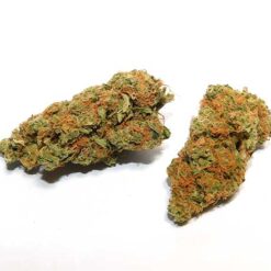 Orange Creamsicle Strain Flower - Sativa Dominant Hybrid Orange Creamsicle Strain Flower - Sativa Dominant Hybrid