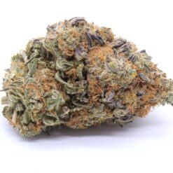 Orange Creamsicle Strain Flower - Sativa Dominant Hybrid Orange Creamsicle Strain Flower - Sativa Dominant Hybrid