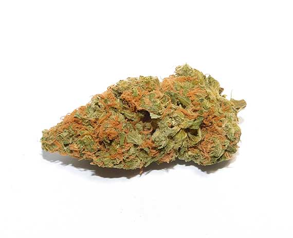 Orange Creamsicle - Sativa Dominant Hybrid