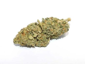 Sour Cookies - Sativa Dominant Hybrid