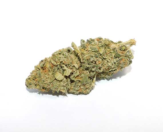 Sour Cookies Strain Flower - Sativa Dominant Hybrid