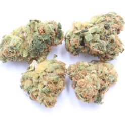 Tahoe OG Strain Small Buds - Hybrid Tahoe OG Strain Small Buds - Hybrid