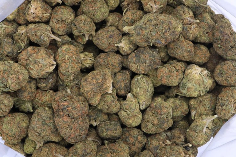 Tahoe OG