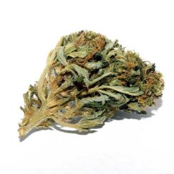 Haze Berry Strain Flower - Sativa Haze Berry Strain Flower - Sativa