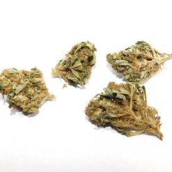 Haze Berry Strain Flower - Sativa Haze Berry Strain Flower - Sativa