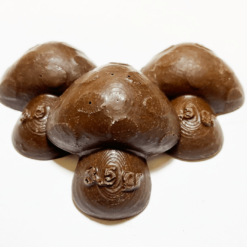 3.5 Gram Psilocybin Chocolate Mushroom
