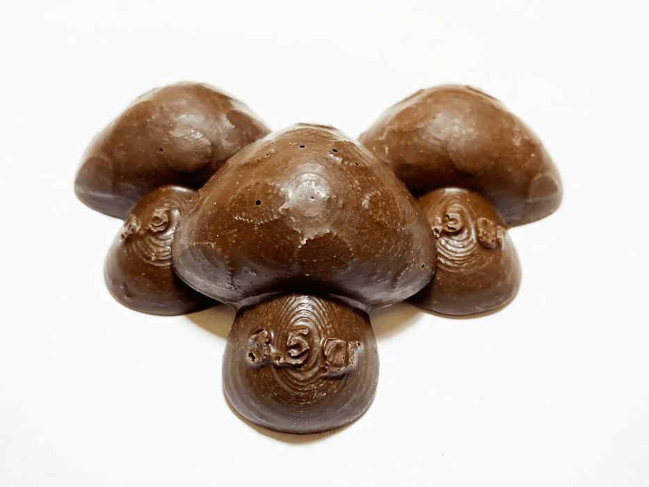 3.5 Gram Psilocybin Chocolate Mushroom