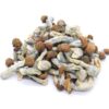 Melmac Mushrooms