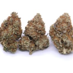 Rainbow Belts Strain Flower - Hybrid Rainbow Belts Strain Flower - Hybrid