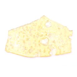 Papaya Strain Shatter - Indica