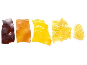 Shatter Sample Pack