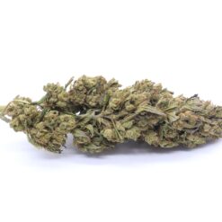 Alaskan Thunder Fuck Strain Flower - Sativa