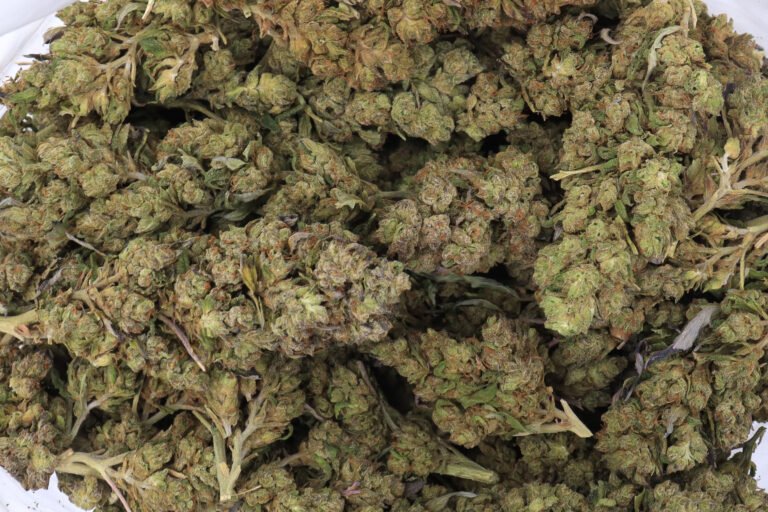 Alaskan Thunder Fuck