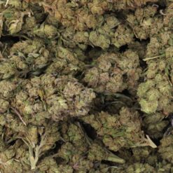 Alaskan Thunder Fuck Strain Flower - Sativa
