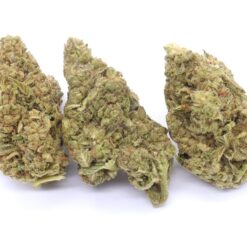 Gary Payton Strain Flower - Hybrid Gary Payton Strain Flower - Hybrid
