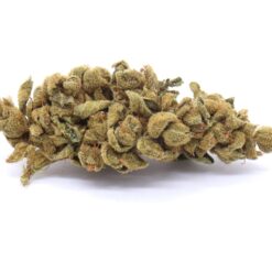Jungle Cake Strain Flower - Hybrid