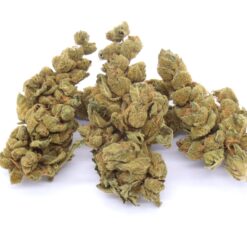 Jungle Cake Strain Flower - Hybrid Jungle Cake Strain Flower - Hybrid