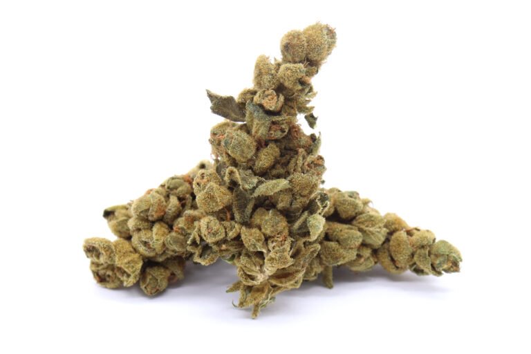 Jungle Cake