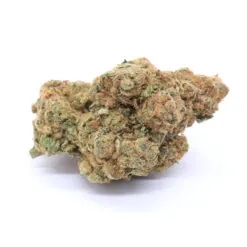 Jungle Cake Strain Flower - Hybrid