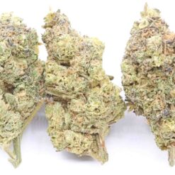 Runtz Strain Flower - Hybrid Runtz Strain Flower - Hybrid
