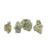 Key Lime Pie Strain - Hybrid Flower Key Lime Pie Strain - Hybrid Flower