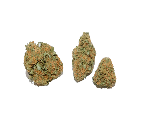 Red Congolese Strain - Sativa Flower