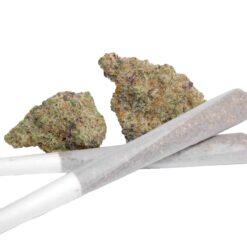Sunset OG Strain 1g Pre-Roll - Indica Dominant Hybrid Sunset OG Strain 1g Pre-Roll - Indica Dominant Hybrid