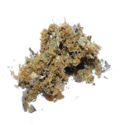 Wifi Mints Strain Premium Shake