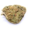 DelaHaze Strain - Sativa Dominant Hybrid Flower