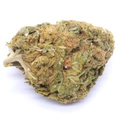 DelaHaze Strain - Sativa Dominant Hybrid Flower