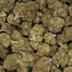 DelaHaze Strain - Sativa Dominant Hybrid Flower