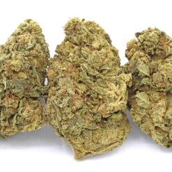 Lemonberry Kush Strain - Hybrid Flower Lemonberry Kush Strain - Hybrid Flower