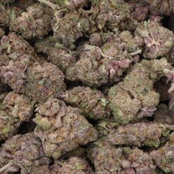 Magic Melon Strain Flower - Hybrid Magic Melon Strain Flower - Hybrid