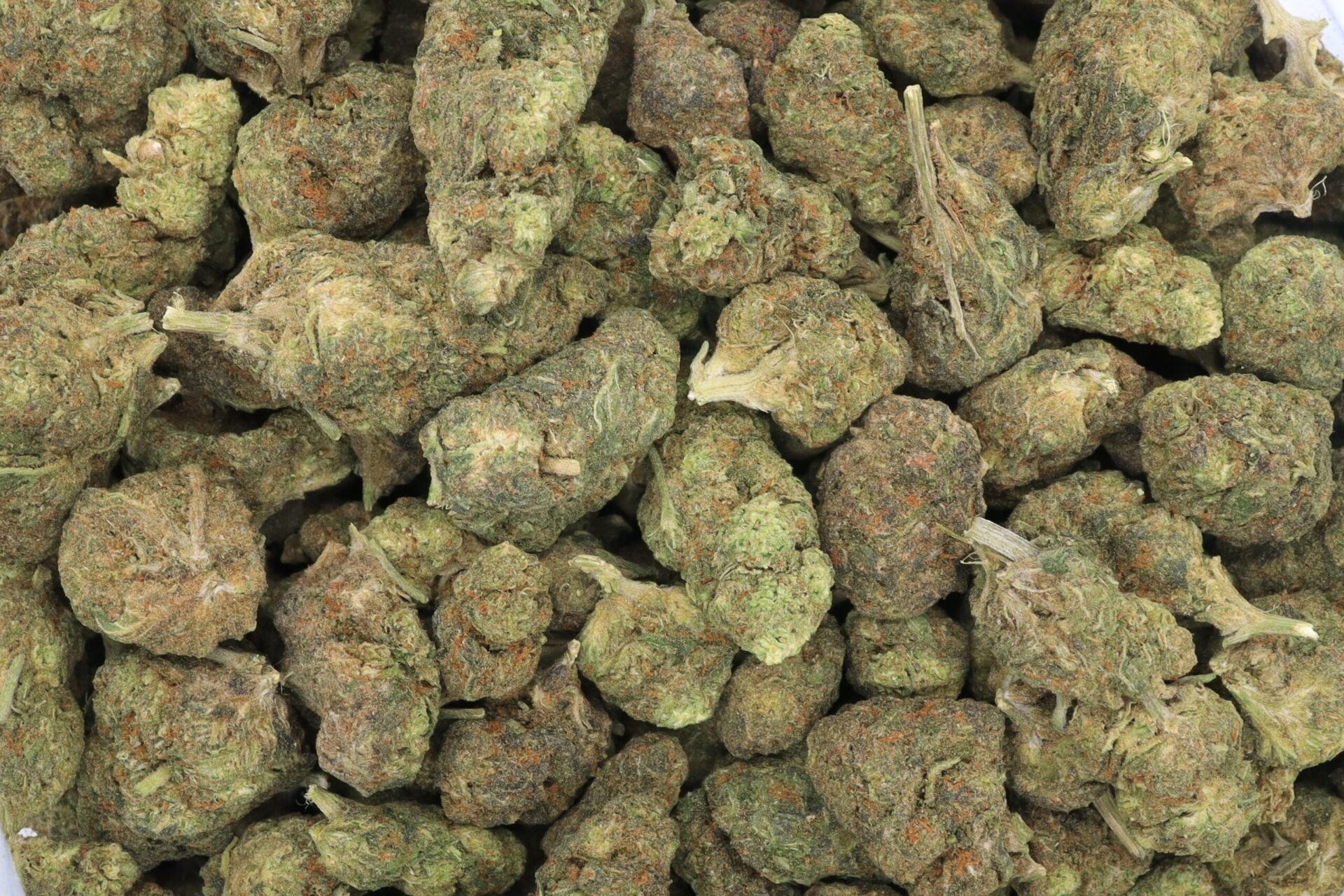 Superglue Strain Flower - Hybrid Superglue Strain Flower - Hybrid