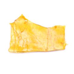 Animal Face Strain Shatter - Hybrid