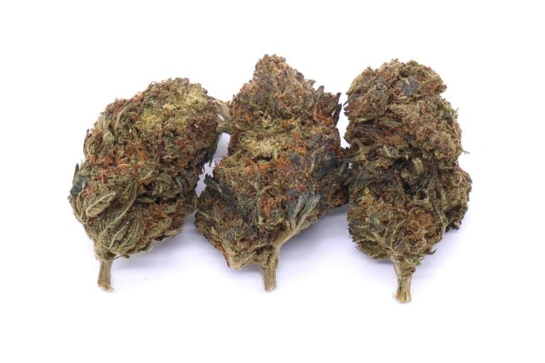 Black Cherry Soda