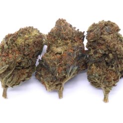 Black Cherry Soda Strain Flower - Hybrid Black Cherry Soda Strain Flower - Hybrid