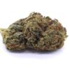 Black Cherry Soda Strain Flower - Hybrid Black Cherry Soda Strain Flower - Hybrid